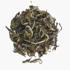 Hamburger Teespeicher Darjeeling White Wonder Okayti Online