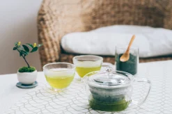 Hamburger Teespeicher Green Tea Pot Zen, 300 ml Fashion