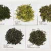 Hamburger Teespeicher Grüntees und Oolong für hartes Wasser Fashion