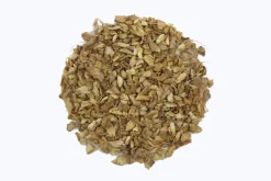 Hamburger Teespeicher Ingwer, Bio New