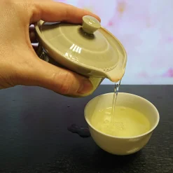 Hamburger Teespeicher Japan Kagoshima Sencha Gabalong Bio Best