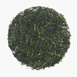 Hamburger Teespeicher Japan Miyazaki Shincha Gyokuro Midori no tori Bio, 50 gr. New