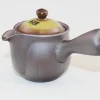 Hamburger Teespeicher Kyusu Mirai Hira Ami, ca. 350 ml Clearance