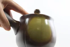 Hamburger Teespeicher Kyusu Mirai Hira Ami, ca. 350 ml Clearance