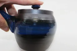 Hamburger Teespeicher Kyusu Obi Fuki, ca. 350 ml Best