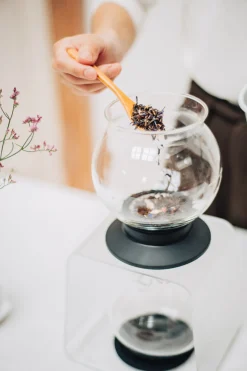 Hamburger Teespeicher Tea Dripper 3 teilig, 800 ml Best